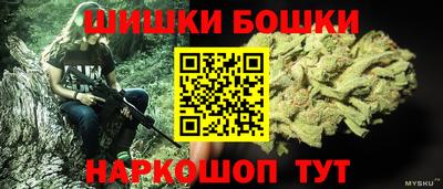 индика Заволжье