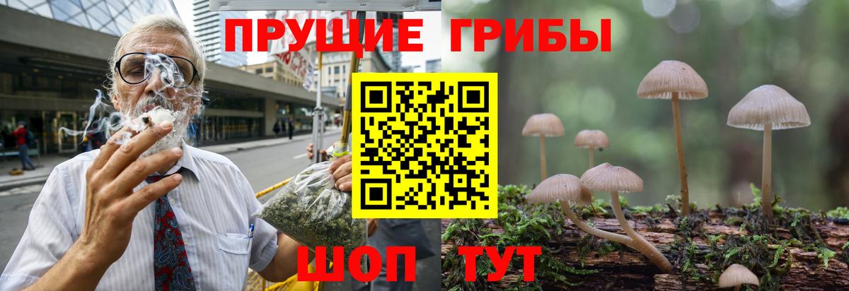 Галлюциногенные грибы GOLDEN TEACHER  Галлюциногенные грибы Psilocybe  Людиново  Вход с VPN 